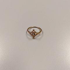 Ring, zoals gemeld door Vrije Universiteit Amsterdam met iLost