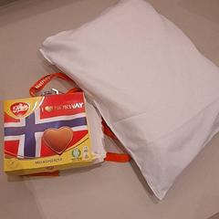 Cushion snoep, as reported by Van der Valk Hotel Schiphol using iLost