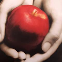 Livre, a été signalé par Rotterdam The Hague Airport utilisant iLost