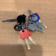鍵 がiLostで Gemeente Amsterdam - Bureau Gevonden Voorwerpen によって報告されました