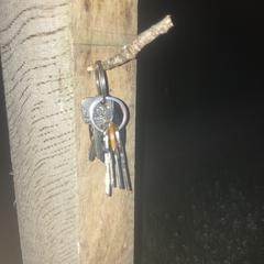 Sleutelbos, amint azt az iLostnak jelentették.