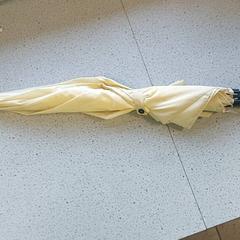 Espasa, segons ha informat Regio Limburg - Leuven mitjançant iLost