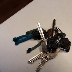 Keys, as reported by Qbuzz ZHN using iLost