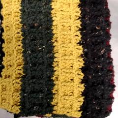 Chal, ha sido reportado por Arriva Friesland / Groningen con iLost