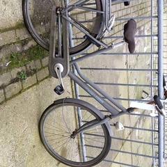 Bici da donna Instinct, come riportato da Stadswerk072 utilizzando iLost