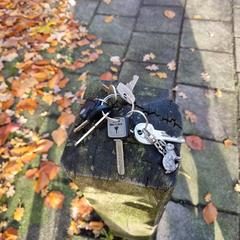 Keys / Sleutels / Sleutelbos, segons s'ha informat a iLost