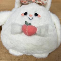 Tasje, as reported by IKEA Amersfoort using iLost