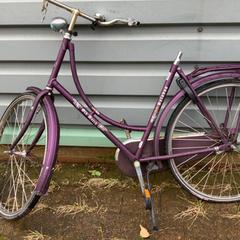 Dámské kolo, jak nahlášeno Gemeente Oirschot pomocí iLost