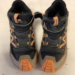 Shoe, as reported by Artis using iLost