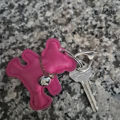 Sleutel met roze beer sleutelhanger, segons s'ha informat a iLost