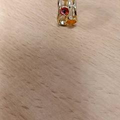 الخاتم، كما تم الإبلاغ عنه بواسطة Qbuzz GD Groningen Peizerweg عبر iLost