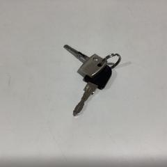 المفاتيح - 070325 DLDK، كما تم الإبلاغ عنه بواسطة Ziggo Dome عبر iLost