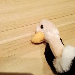 Knuffel, ha sido reportado por Beekse Bergen Resorts en Hotel con iLost