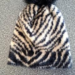 Beanie, as reported by Connexxion Amstelveen using iLost