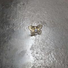 Gyűrű vlinder, amint azt Vrije Universiteit Brussel (VUB) az iLost segítségével jelentette.