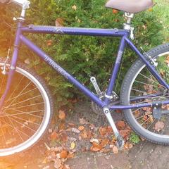 Trek kindermodel, jak bylo nahlášeno na iLost