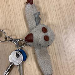 Sleutelbos, zoals gemeld door Pathé Amsterdam Noord met iLost