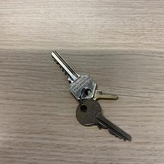 Sleutels, zoals gemeld door Gemeente Arnhem met iLost