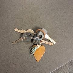 鍵 Sleutelbos がiLostで Breng Nijmegen によって報告されました