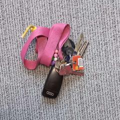 Chaveiro, segundo informou Arriva West-Brabant usando iLost