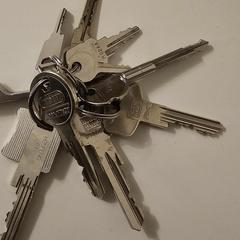 Bunch of keys, som rapporterats till iLost