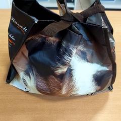 Taška Plastiek zak, ako bolo nahlásené Regio Limburg - Leuven pomocou iLost