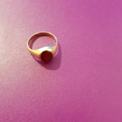 Ring, rapporterat av Gemeente Oost Gelre med iLost