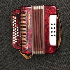 Accordeon, gemeldet von Gemeente Nijmegen über iLost