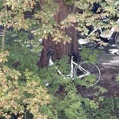 Witte fiets, ako bolo nahlásené iLost