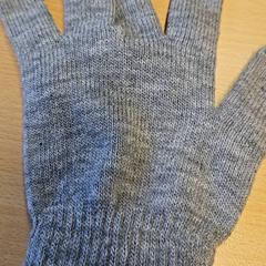 Hanske handscheoen, som rapportert av GVB ved bruk av iLost