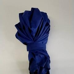 Paraugas Blauw, segundo informou Regio Antwerpen - Brussel usando iLost