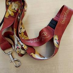 Band Disney, zoals gemeld door IKEA Paris - Rivoli met iLost