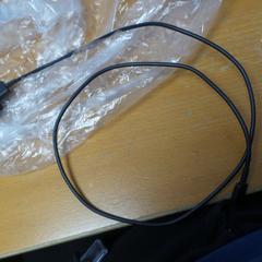 Adapter, rapporterat av Carlton Beach Hotel med iLost