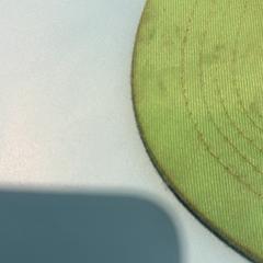 キャップ がiLostで De Tovertuin によって報告されました