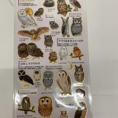 シール, come riportato da IKEA神戸 utilizzando iLost