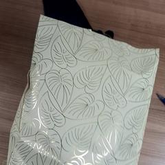 Taška, jak nahlášeno Connexxion Haarlem AML pomocí iLost