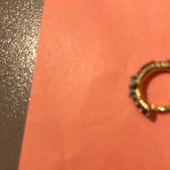 Náušnice Gold, jak nahlášeno MEININGER Hotel Amsterdam Amstel pomocí iLost