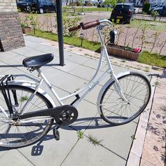 Oude witte omafiets, ako bolo nahlásené iLost