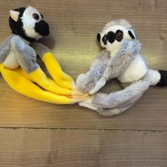 Vycpané zvíře, jak nahlášeno Pathé Arnhem pomocí iLost