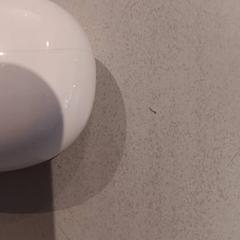 Earpods, zoals gemeld door De Efteling met iLost