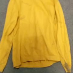 Sweater Geel, as reported by Burgers' Zoo using iLost