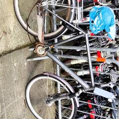 Bicicleta de hombre Montego, ha sido reportado por Stadswerk072 con iLost