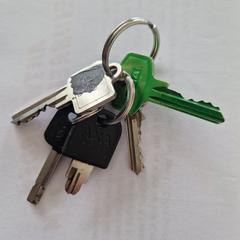 Sleutelbos, gerapporteerd met iLost