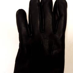 Luva, segundo informou Qbuzz ZHN usando iLost