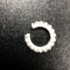 Tetina Zilver, como reportado por Arriva Vechtdallijnen utilizando o iLost