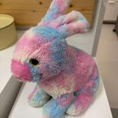 Xoguete, segundo informou IKEA Praha – Černý Most usando iLost