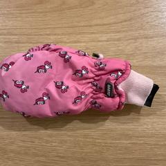 장갑 rose, iLost를 사용하여 Gemeente Alkmaar에 보고됨