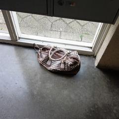 Tas, som rapporterats till iLost