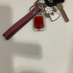 Kľúč od bicykla, ako bolo nahlásené TU/e - Receptie Atlas pomocou iLost