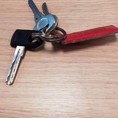 Giltzak, gisa salatu by Qbuzz Fryslân iLost erabiliz